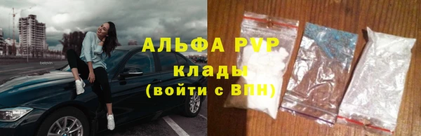 стаф Абинск