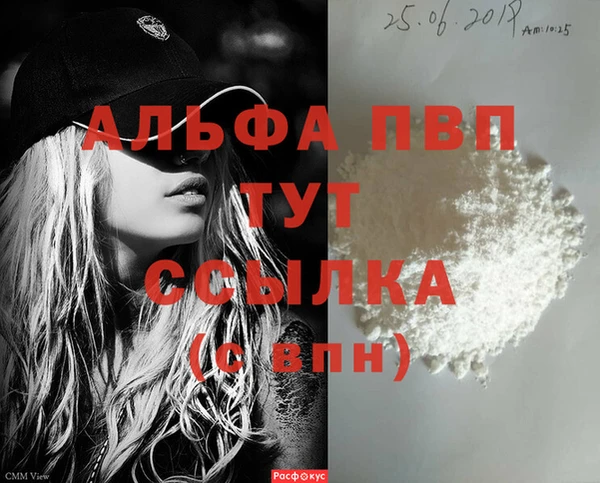 стаф Абинск