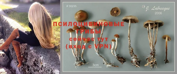 гидропоника Абаза